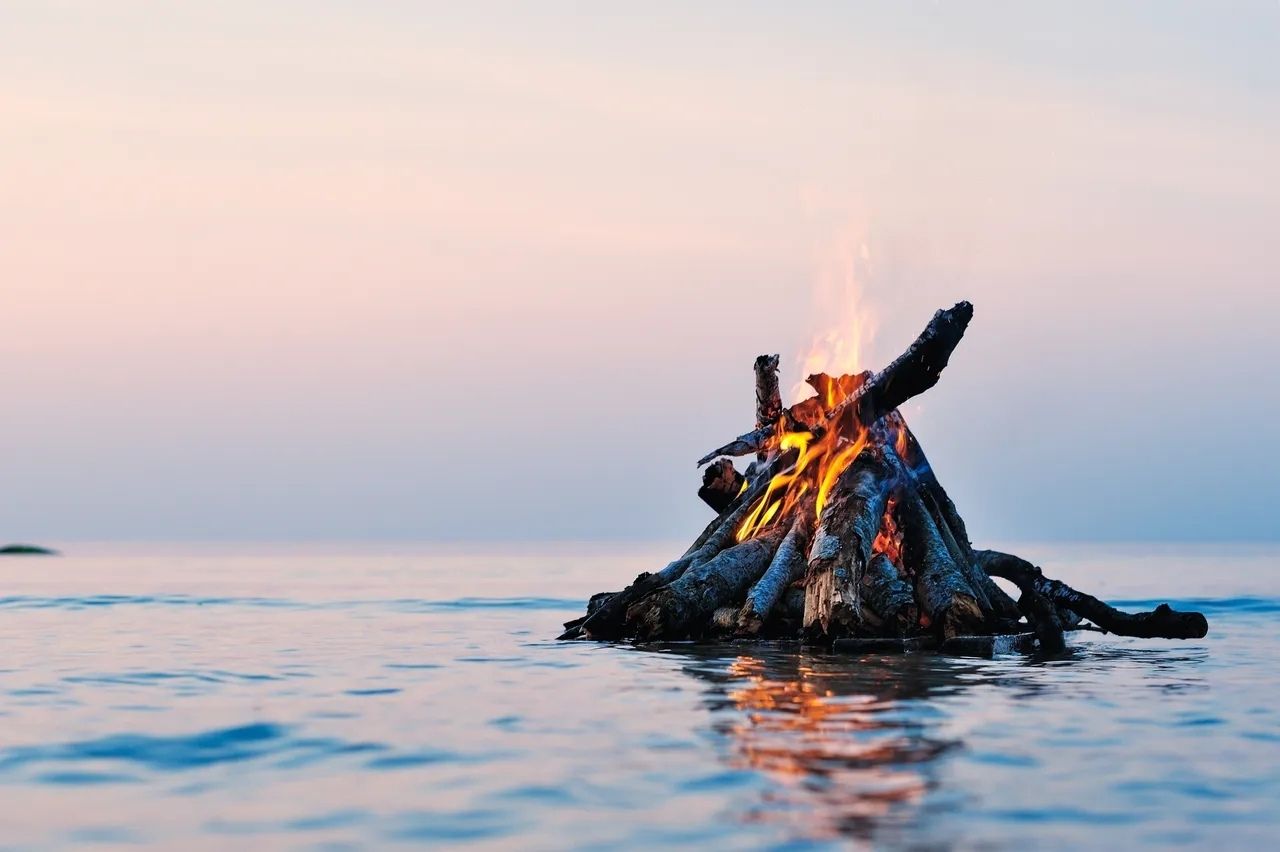 The Bonfire Program
